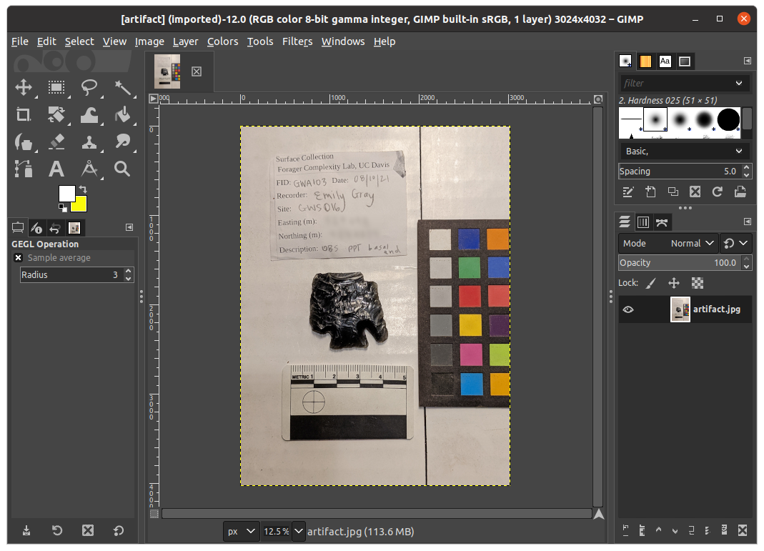 artifact gimp
